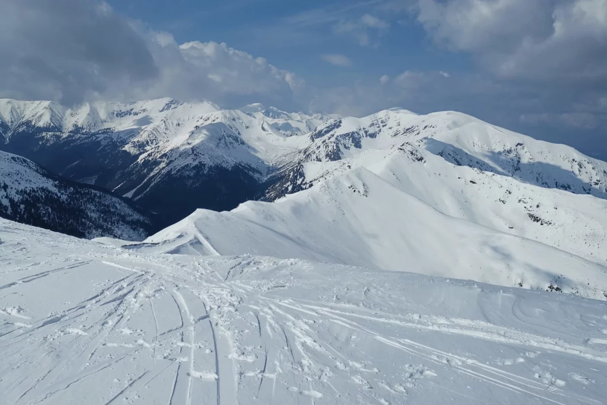 Akademia murowaniec 05